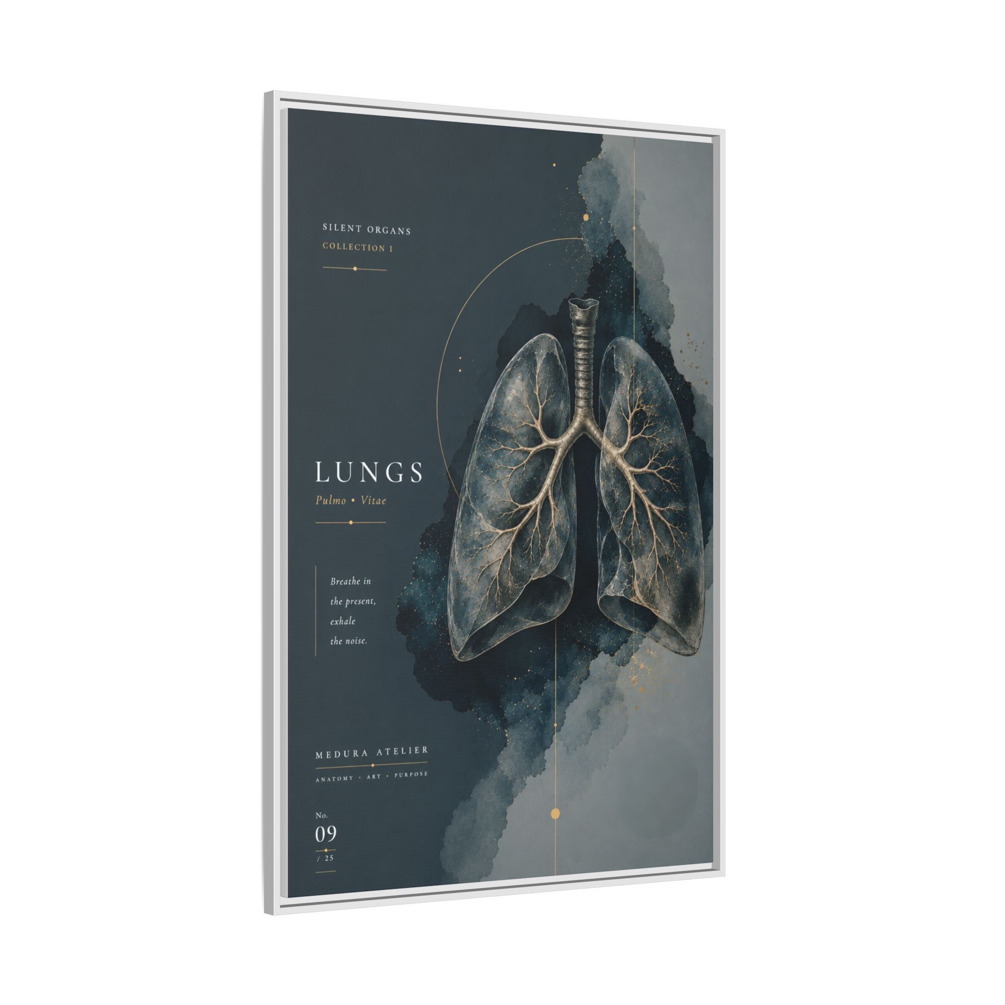 Silent Organs – Lungs Wall Art | Luxury Anatomical Canvas Print | Museum-Inspired Fine Art