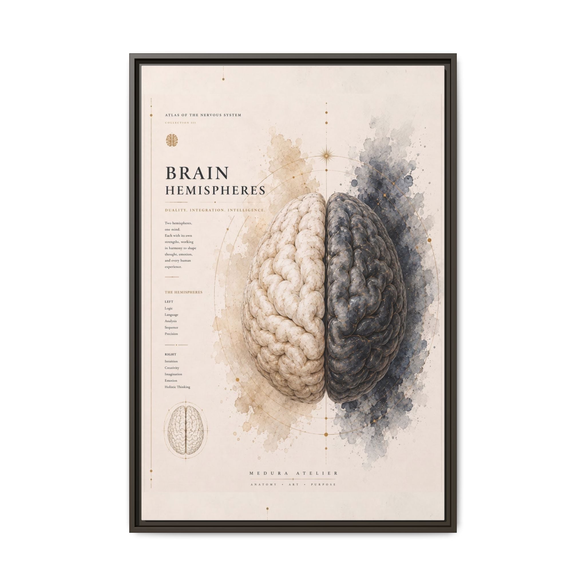 Brain Hemispheres Wall Art | Luxury Neuroscience Canvas Print | Museum-Inspired Fine Art