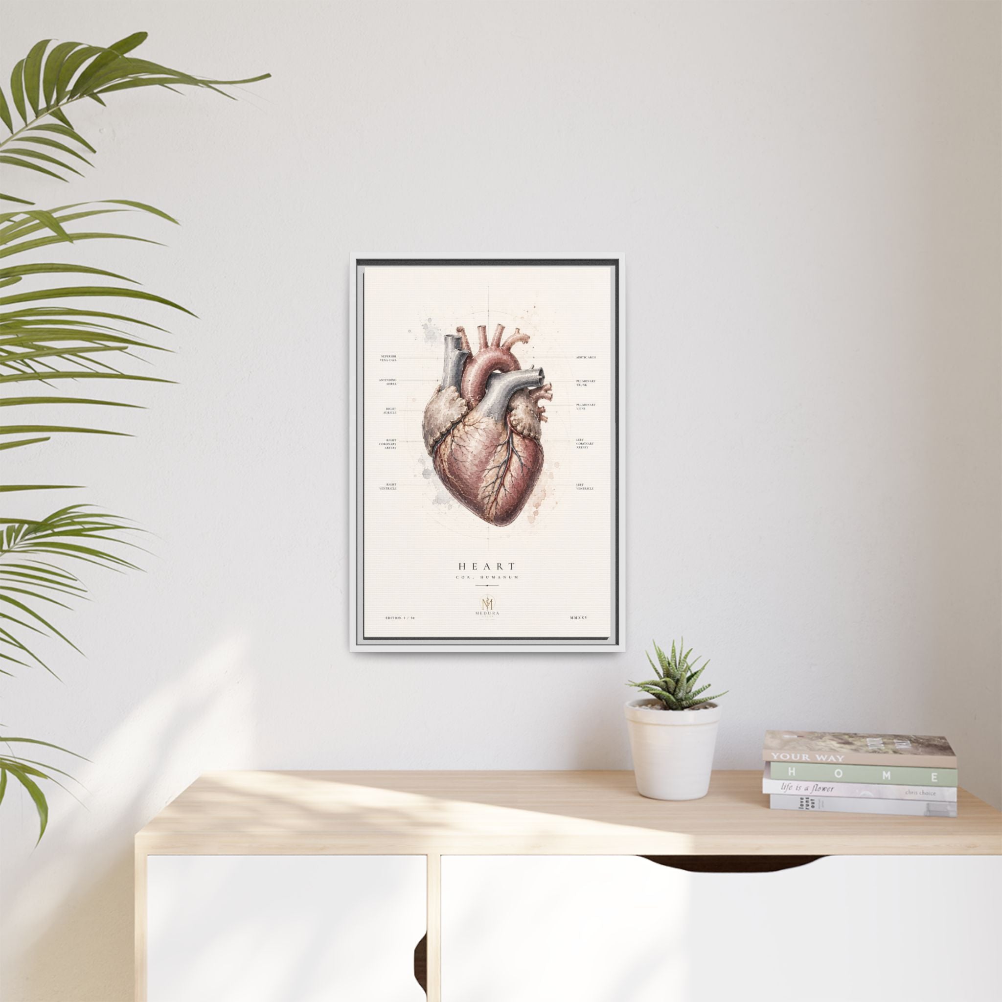 Anatomical Heart Wall Art | Luxury Medical Canvas Print | Museum-Inspired Fine Art
