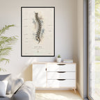 Anatomical Spine Wall Art | Luxury Vertebral Column Canvas Print | Museum-Inspired Fine Art
