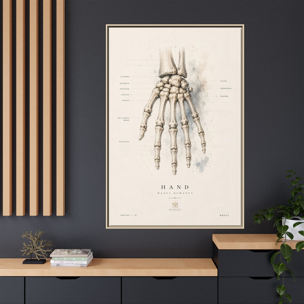 Anatomical Hand Skeleton Wall Art | Luxury Orthopaedic Canvas Print | Museum-Inspired Fine Art