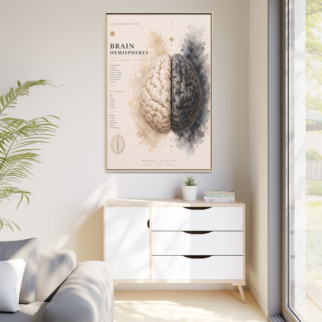 Brain Hemispheres Wall Art | Luxury Neuroscience Canvas Print | Museum-Inspired Fine Art