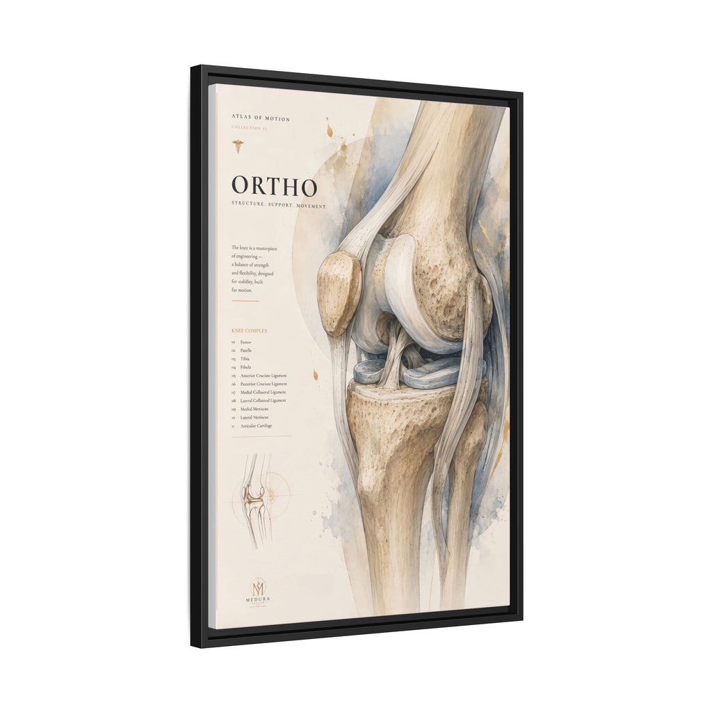 Orthopaedic Knee Anatomy Wall Art | Luxury Orthopedic Canvas Print | Museum-Inspired Fine Art