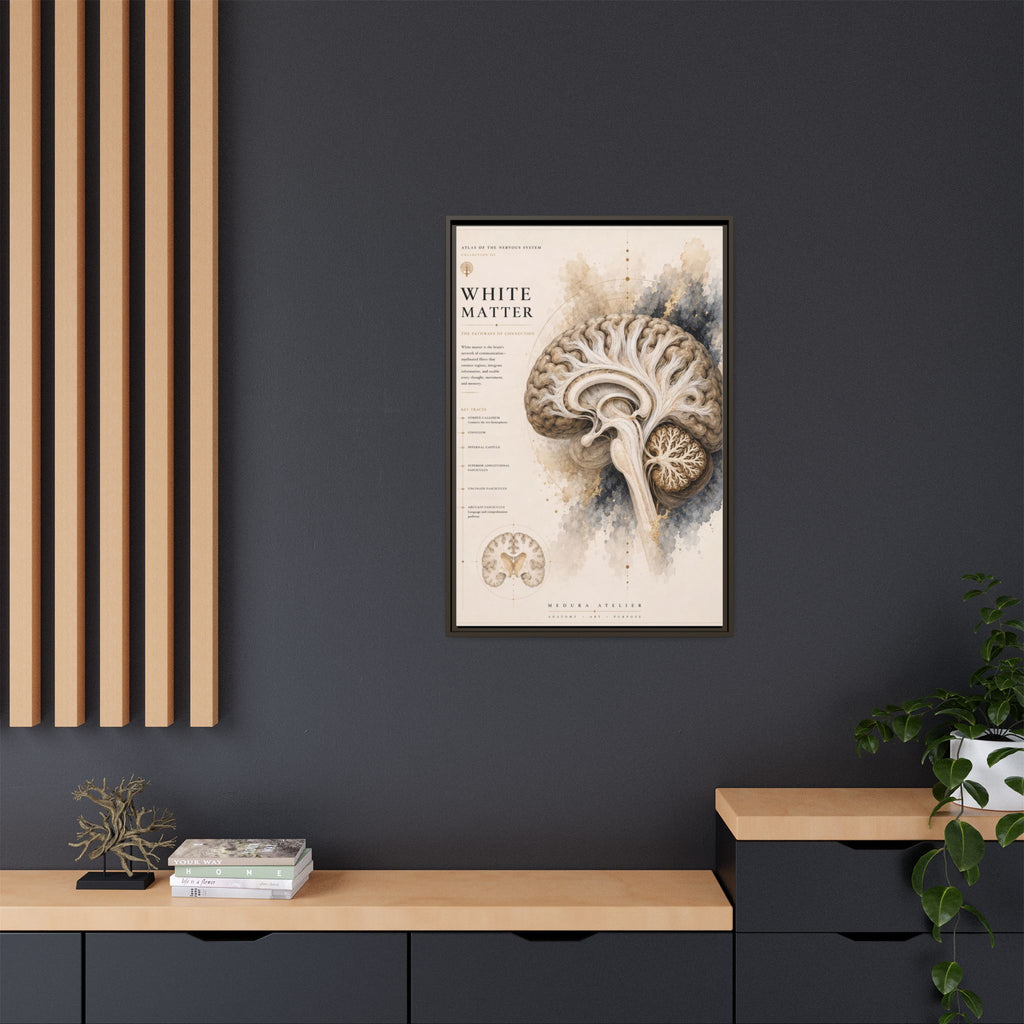 White Matter Brain Wall Art | Luxury Neuroscience Canvas Print | Museum-Inspired Fine Art