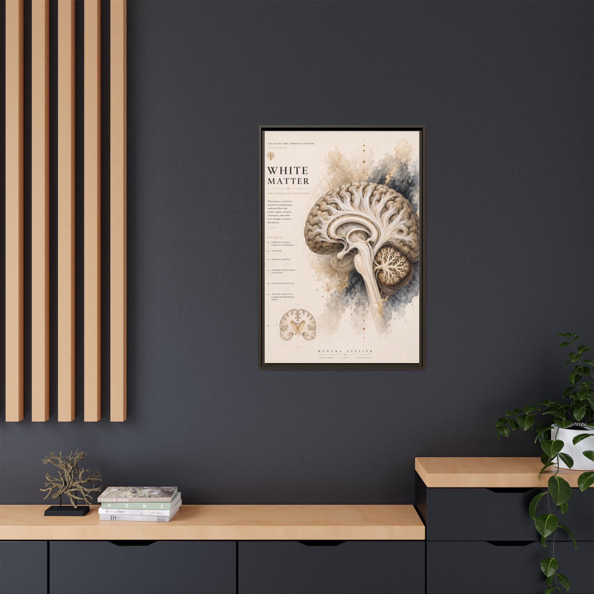 White Matter Brain Wall Art | Luxury Neuroscience Canvas Print | Museum-Inspired Fine Art