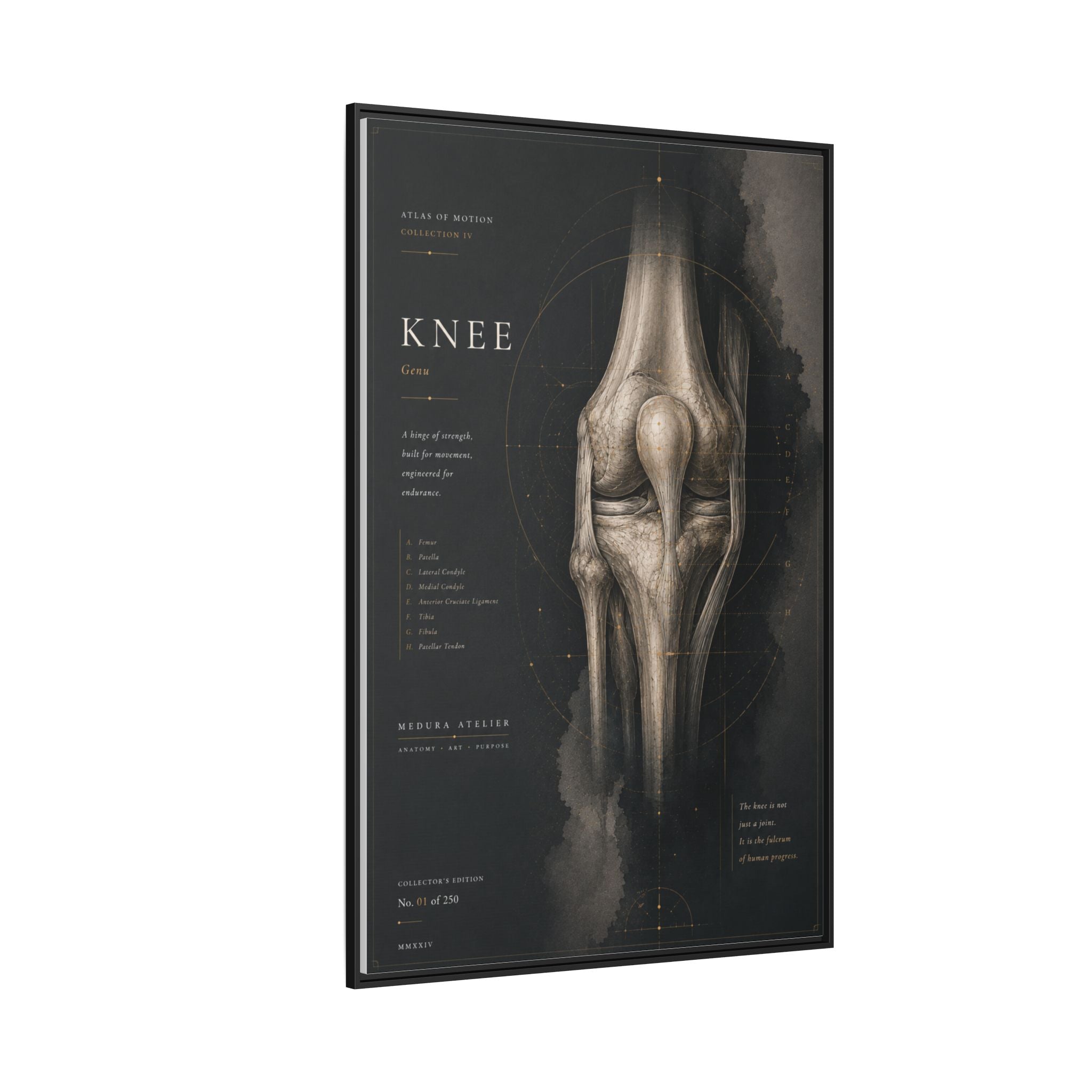 Atlas of Motion – Knee Wall Art | Luxury Orthopedic Canvas Print | Museum-Inspired Fine Art