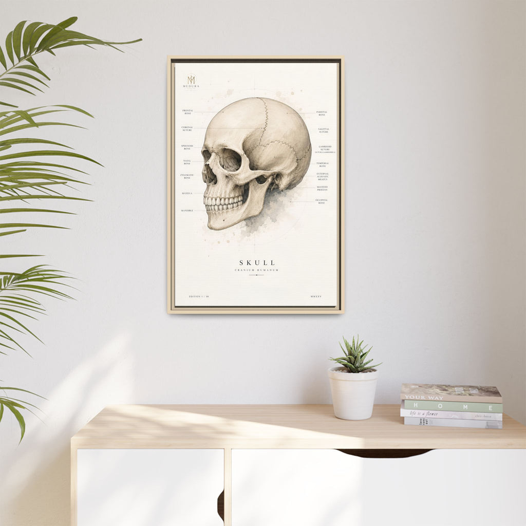 Anatomical Skull Wall Art | Luxury Medical Canvas Print | Museum-Inspired Fine Art