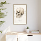 Anatomical Skull Wall Art | Luxury Medical Canvas Print | Museum-Inspired Fine Art