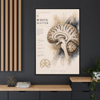 White Matter Brain Wall Art | Luxury Neuroscience Canvas Print | Museum-Inspired Fine Art