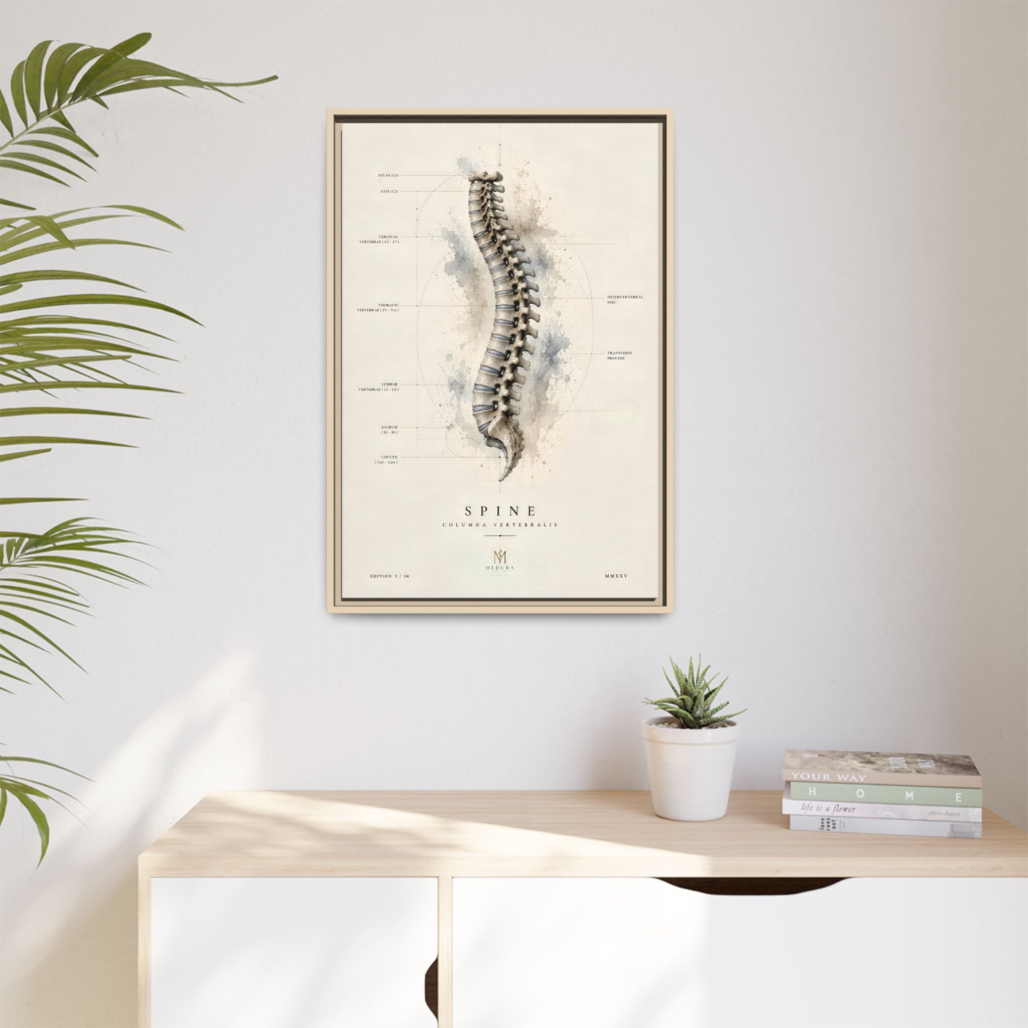 Anatomical Spine Wall Art | Luxury Vertebral Column Canvas Print | Museum-Inspired Fine Art