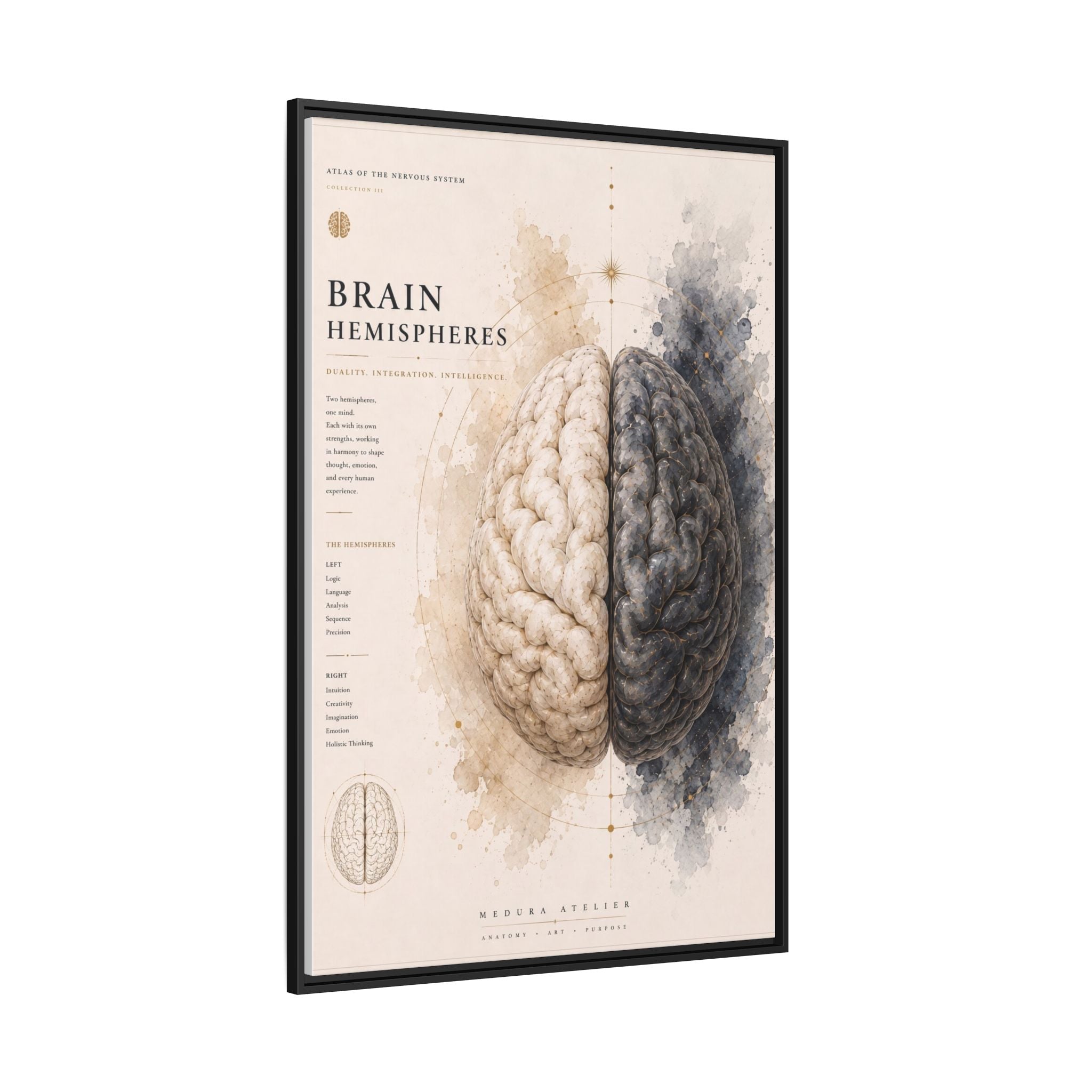 Brain Hemispheres Wall Art | Luxury Neuroscience Canvas Print | Museum-Inspired Fine Art