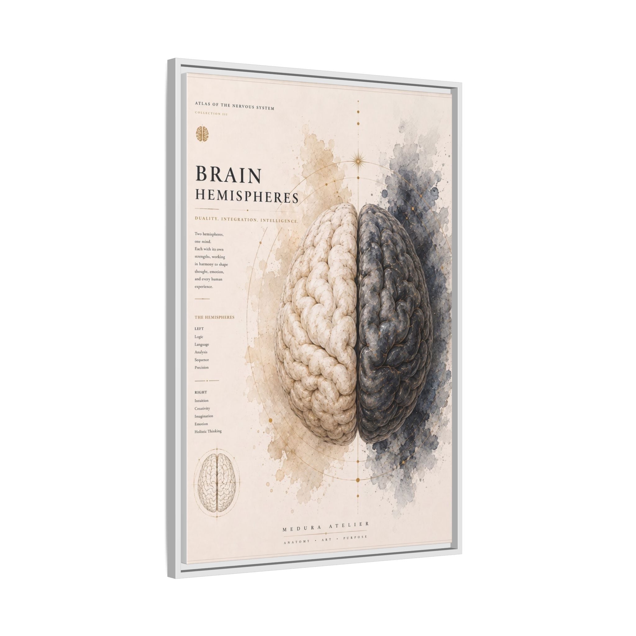 Brain Hemispheres Wall Art | Luxury Neuroscience Canvas Print | Museum-Inspired Fine Art