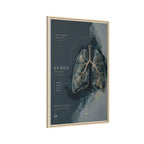 Silent Organs – Lungs Wall Art | Luxury Anatomical Canvas Print | Museum-Inspired Fine Art