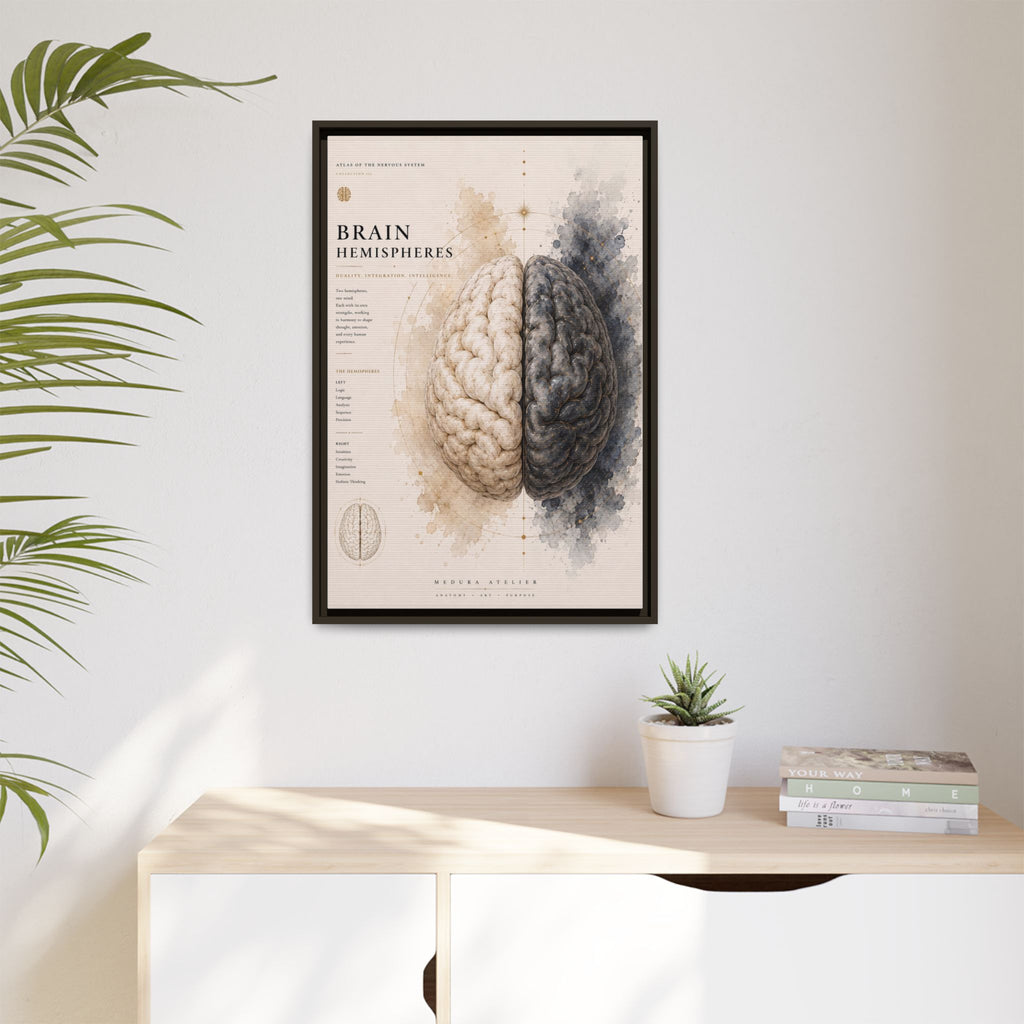 Brain Hemispheres Wall Art | Luxury Neuroscience Canvas Print | Museum-Inspired Fine Art