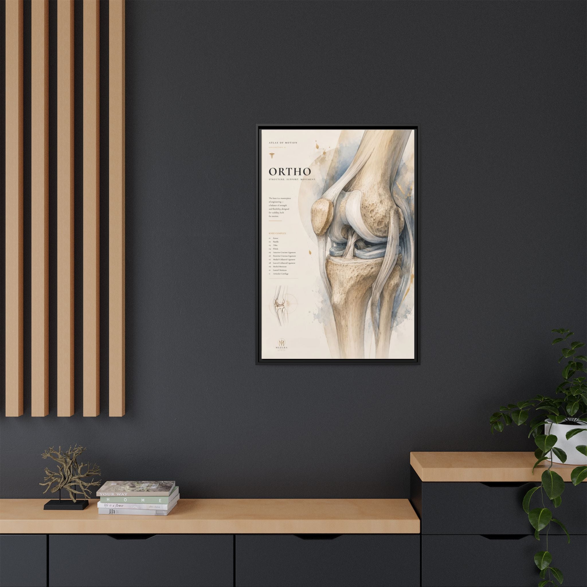 Orthopaedic Knee Anatomy Wall Art | Luxury Orthopedic Canvas Print | Museum-Inspired Fine Art