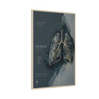Silent Organs – Lungs Wall Art | Luxury Anatomical Canvas Print | Museum-Inspired Fine Art