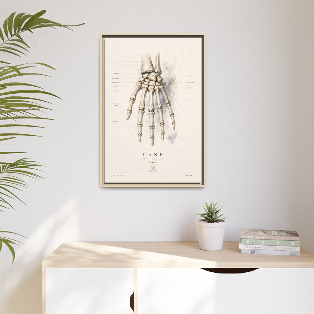 Anatomical Hand Skeleton Wall Art | Luxury Orthopaedic Canvas Print | Museum-Inspired Fine Art