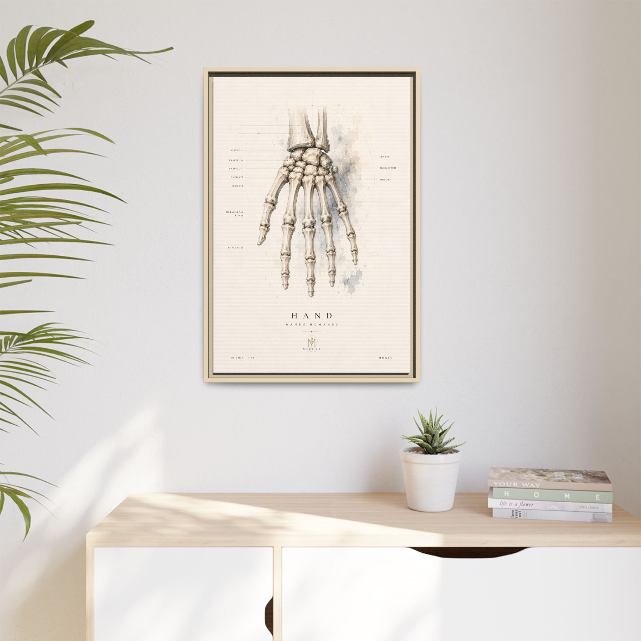 Anatomical Hand Skeleton Wall Art | Luxury Orthopaedic Canvas Print | Museum-Inspired Fine Art