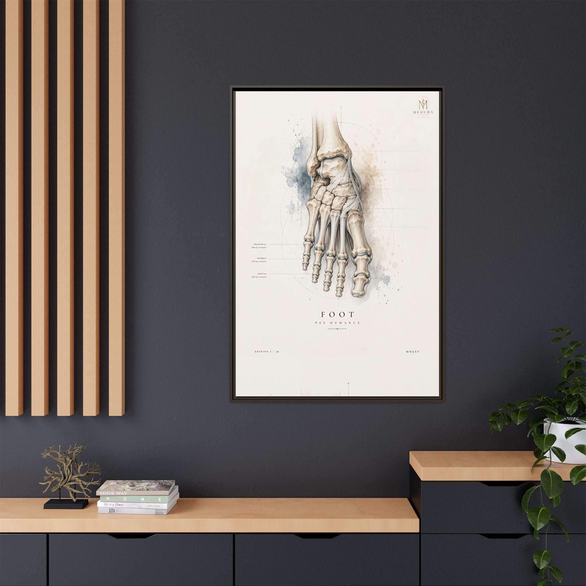 Anatomical Foot Skeleton Wall Art | Luxury Podiatry Canvas Print | Museum-Inspired Fine Art