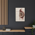 Silent Organs – Hippocampus Wall Art | Luxury Neuroscience Canvas Print | Museum-Inspired Fine Art