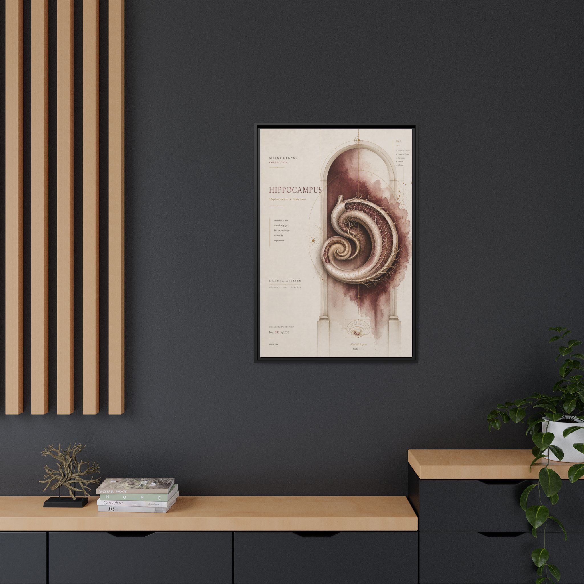Silent Organs – Hippocampus Wall Art | Luxury Neuroscience Canvas Print | Museum-Inspired Fine Art