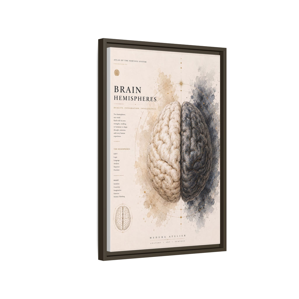 Brain Hemispheres Wall Art | Luxury Neuroscience Canvas Print | Museum-Inspired Fine Art