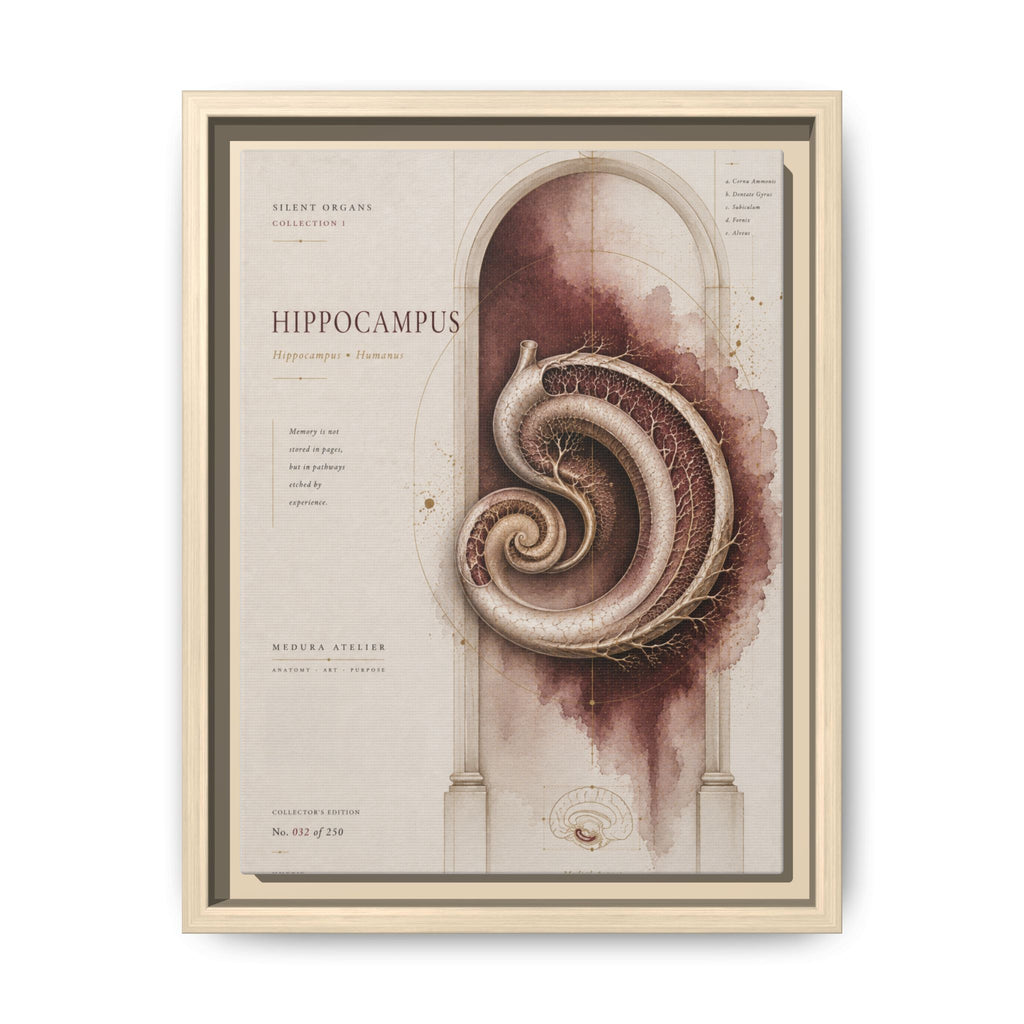Silent Organs – Hippocampus Wall Art | Luxury Neuroscience Canvas Print | Museum-Inspired Fine Art