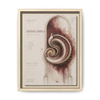 Silent Organs – Hippocampus Wall Art | Luxury Neuroscience Canvas Print | Museum-Inspired Fine Art