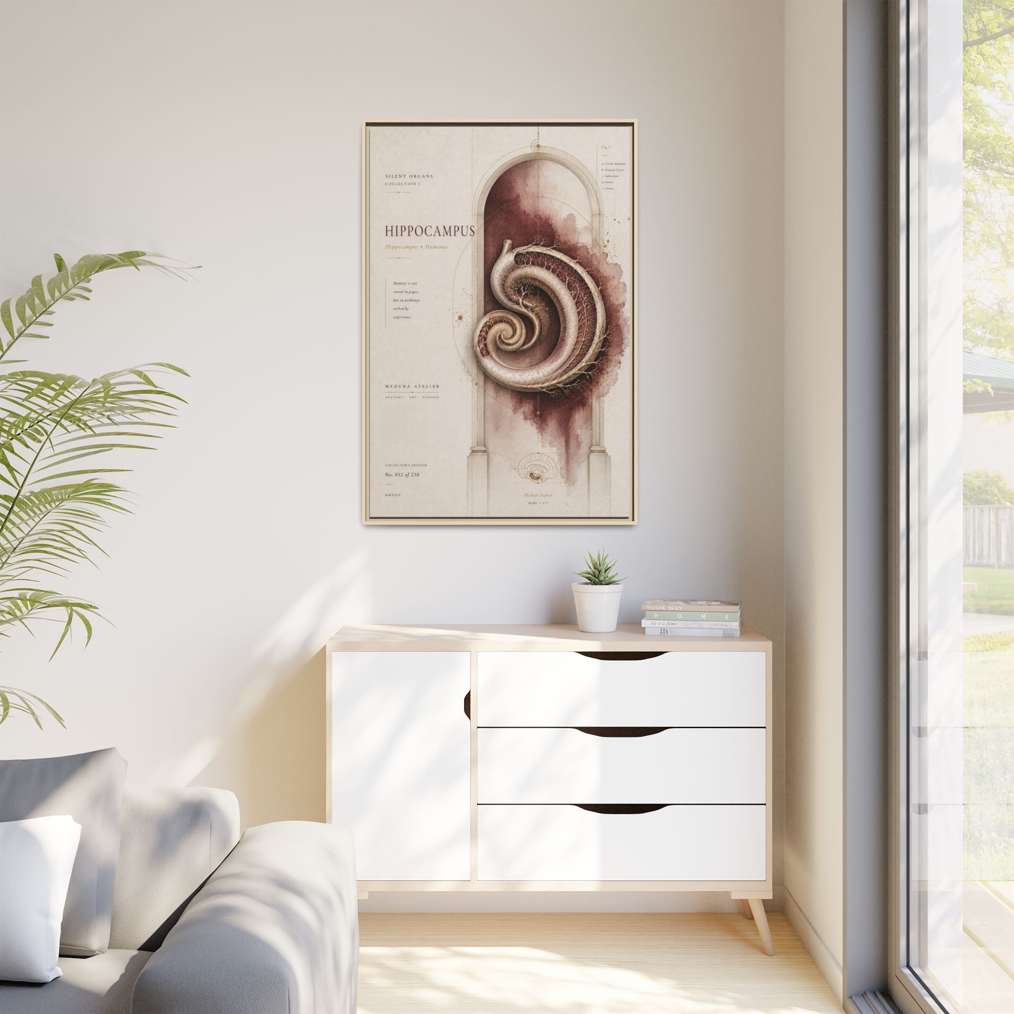 Silent Organs – Hippocampus Wall Art | Luxury Neuroscience Canvas Print | Museum-Inspired Fine Art