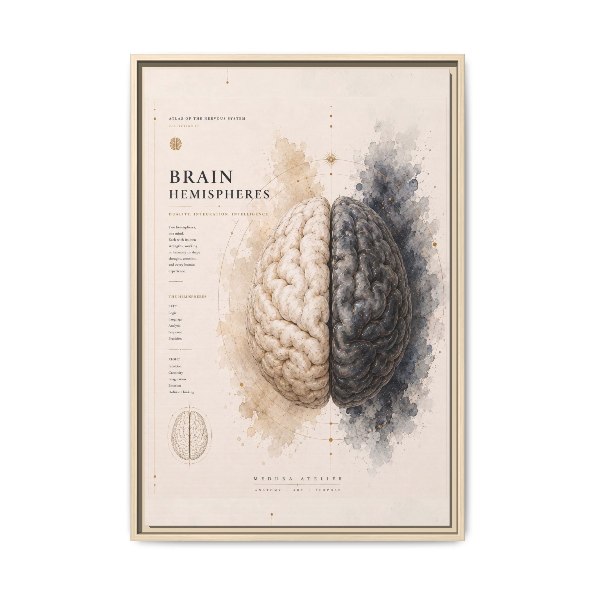 Brain Hemispheres Wall Art | Luxury Neuroscience Canvas Print | Museum-Inspired Fine Art