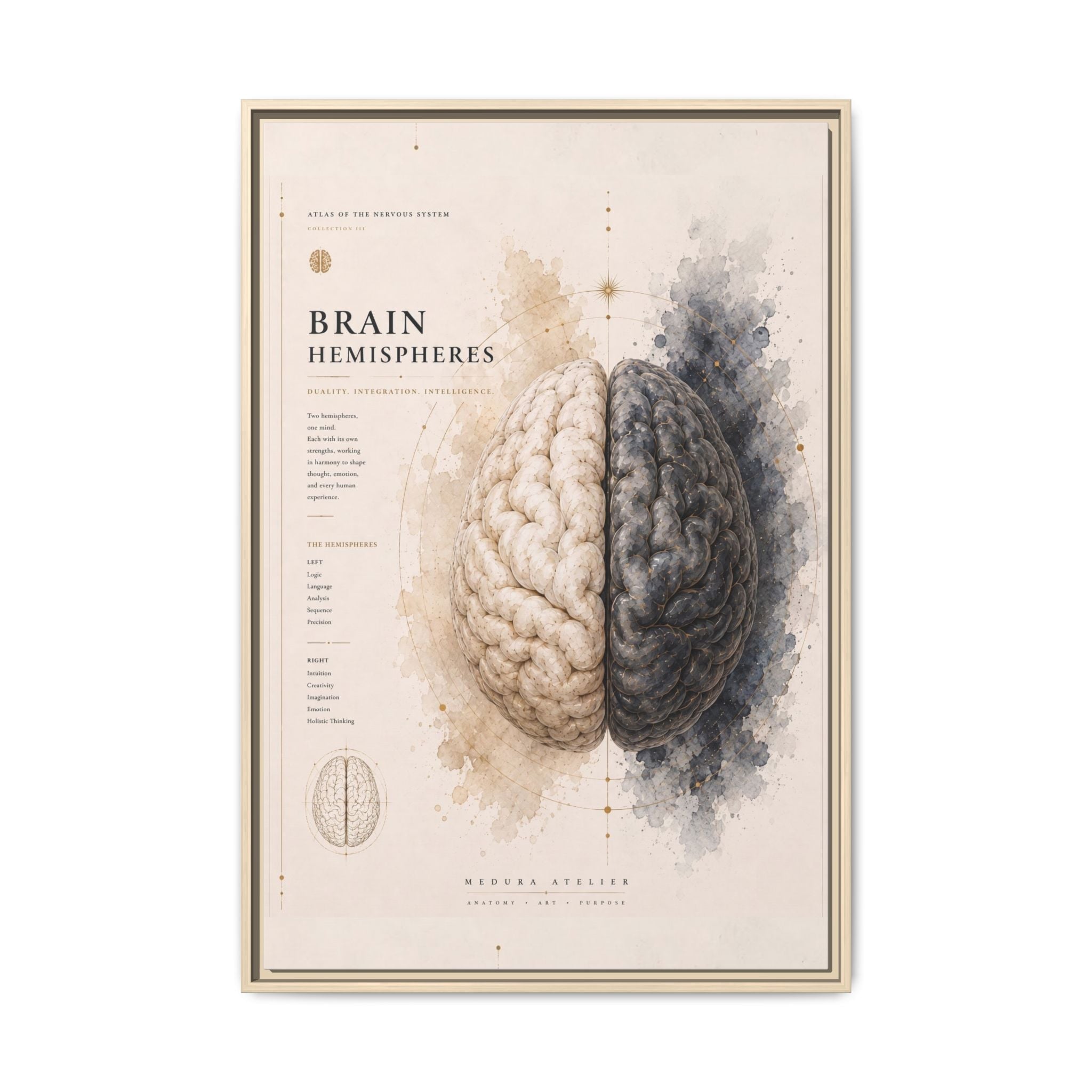 Brain Hemispheres Wall Art | Luxury Neuroscience Canvas Print | Museum-Inspired Fine Art