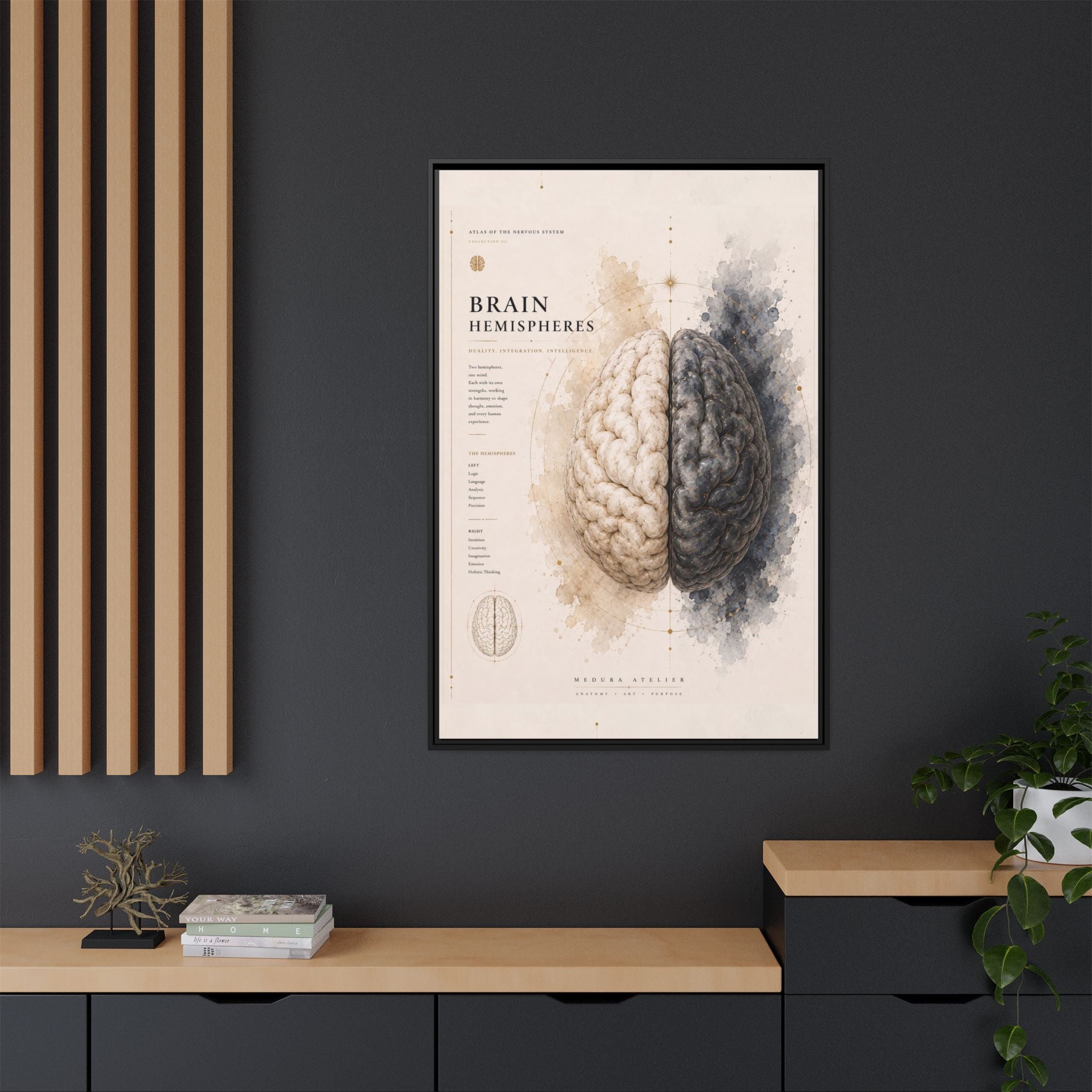 Brain Hemispheres Wall Art | Luxury Neuroscience Canvas Print | Museum-Inspired Fine Art