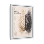 Brain Hemispheres Wall Art | Luxury Neuroscience Canvas Print | Museum-Inspired Fine Art