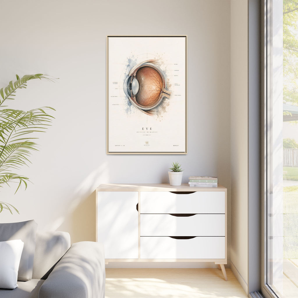 Anatomical Eye Canvas Print | Luxury Ophthalmology Wall Art | Museum-Inspired Medical Decor