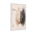 Brain Hemispheres Wall Art | Luxury Neuroscience Canvas Print | Museum-Inspired Fine Art