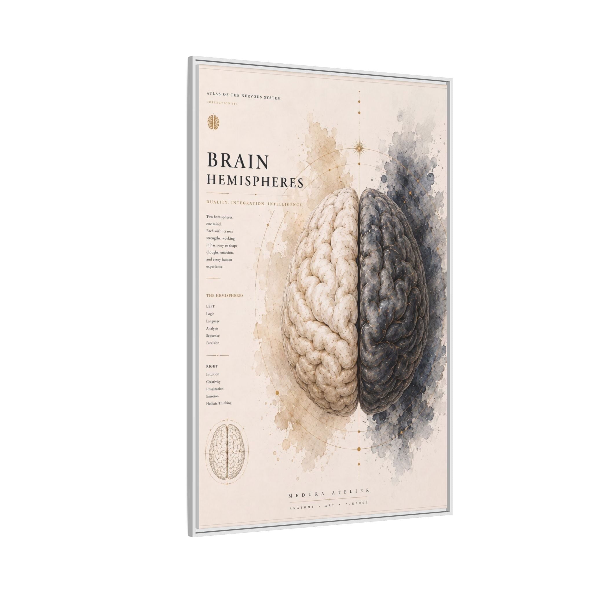 Brain Hemispheres Wall Art | Luxury Neuroscience Canvas Print | Museum-Inspired Fine Art