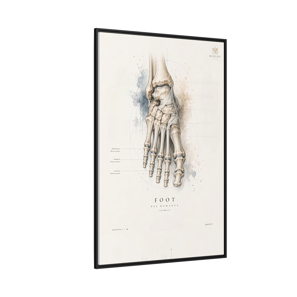 Anatomical Foot Skeleton Wall Art | Luxury Podiatry Canvas Print | Museum-Inspired Fine Art