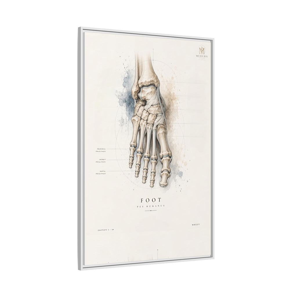 Anatomical Foot Skeleton Wall Art | Luxury Podiatry Canvas Print | Museum-Inspired Fine Art
