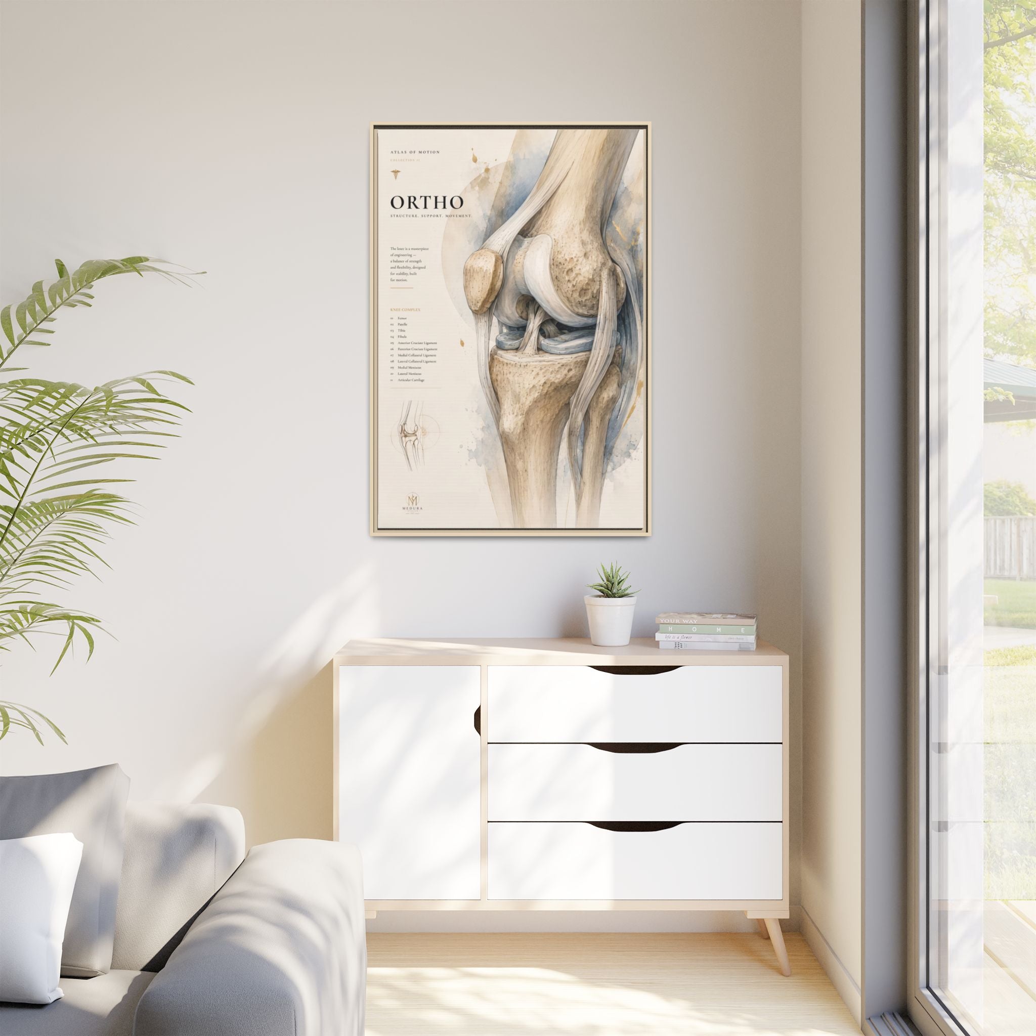 Orthopaedic Knee Anatomy Wall Art | Luxury Orthopedic Canvas Print | Museum-Inspired Fine Art