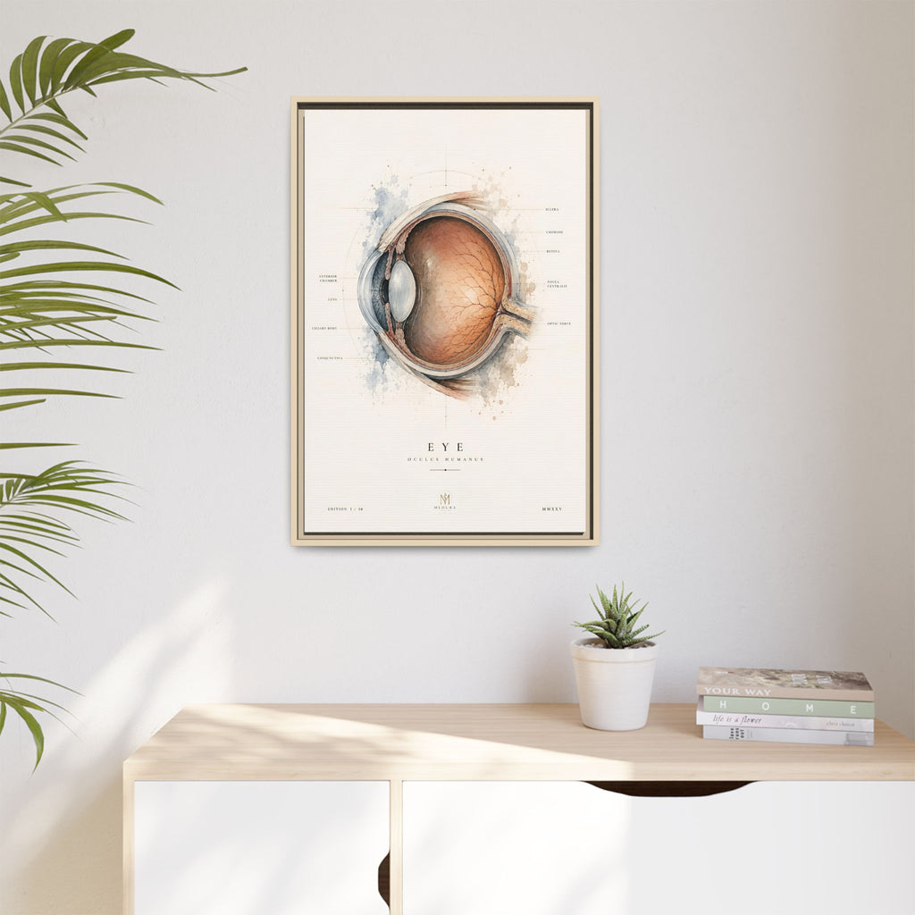 Anatomical Eye Canvas Print | Luxury Ophthalmology Wall Art | Museum-Inspired Medical Decor
