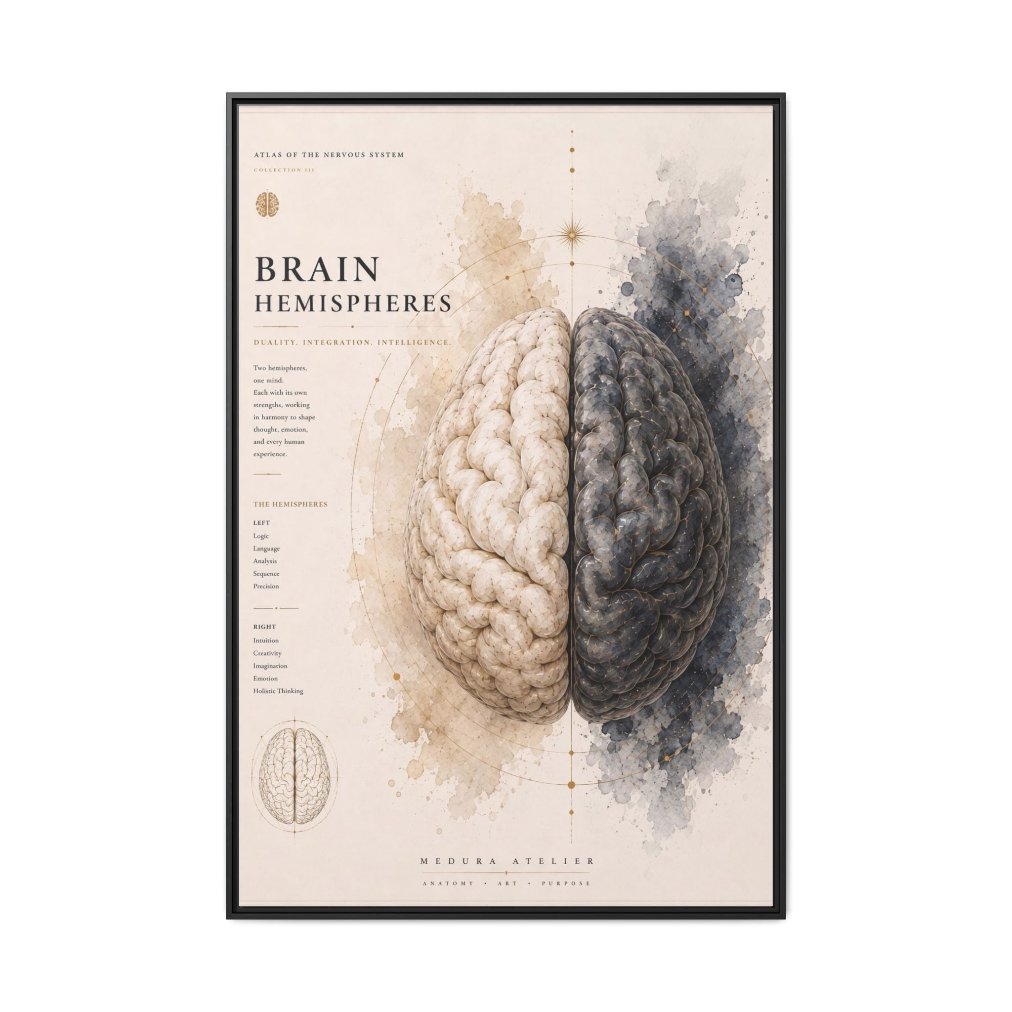 Brain Hemispheres Wall Art | Luxury Neuroscience Canvas Print | Museum-Inspired Fine Art