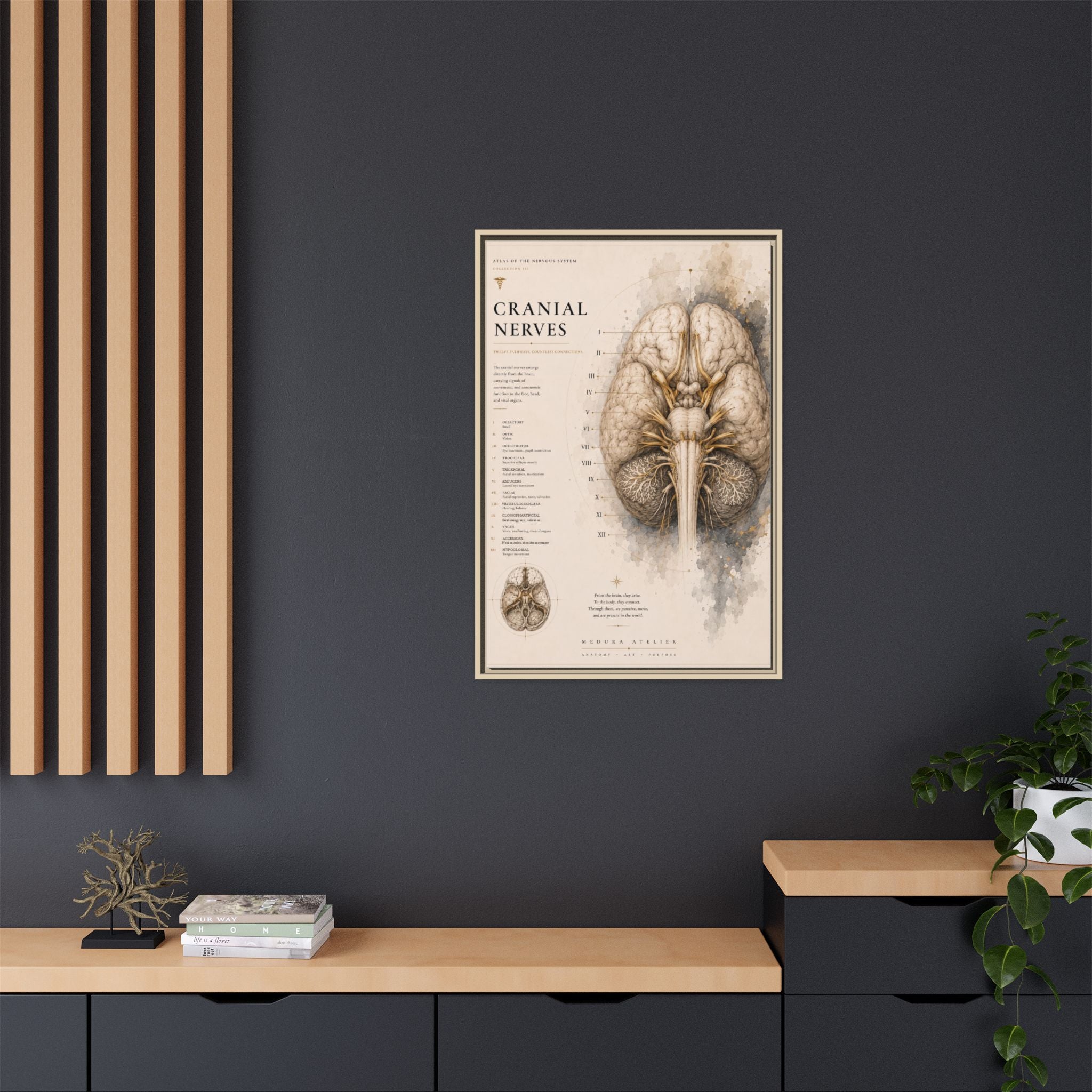 White Matter Brain Wall Art | Luxury Neuroscience Canvas Print | Museum-Inspired Fine Art
