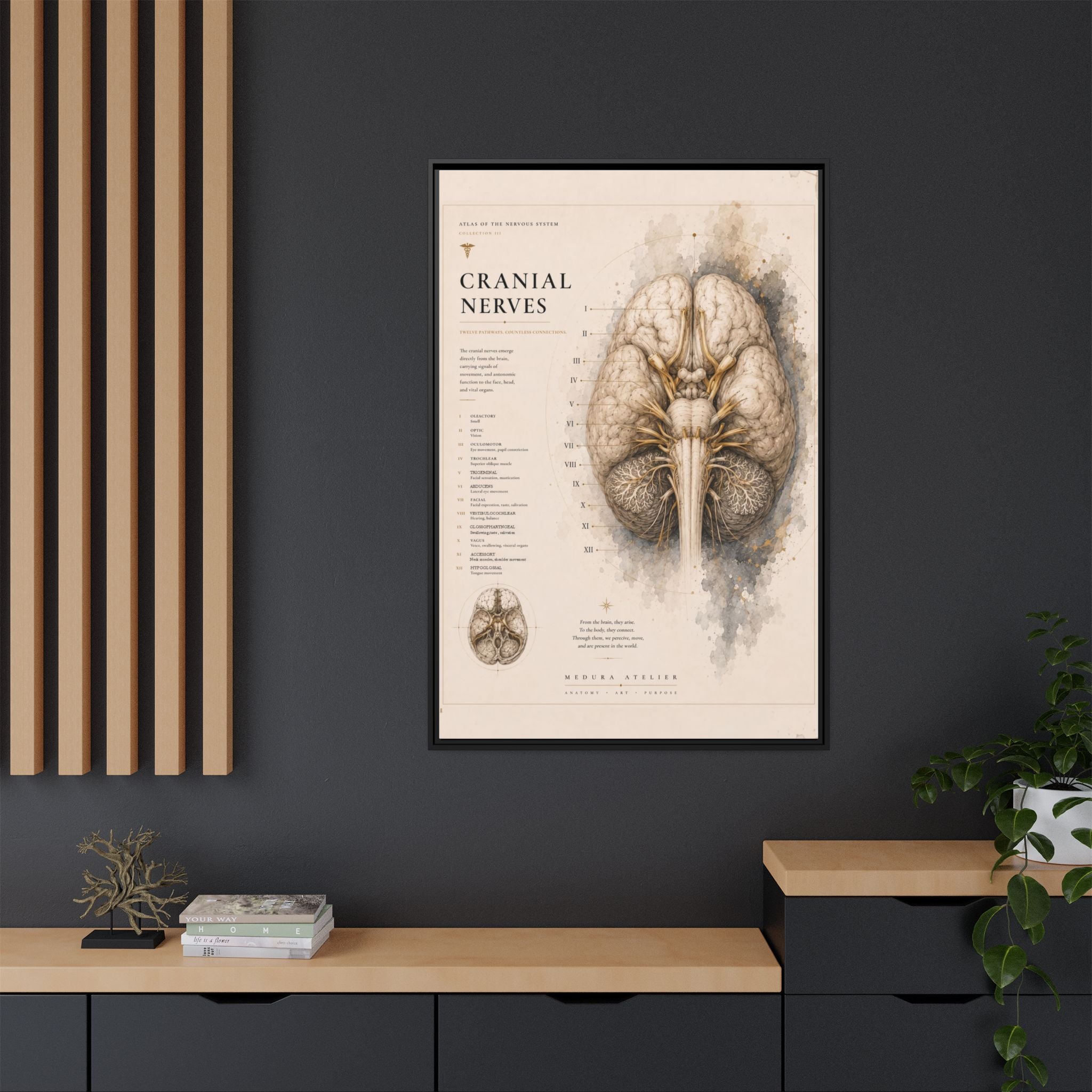White Matter Brain Wall Art | Luxury Neuroscience Canvas Print | Museum-Inspired Fine Art