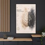 Brain Hemispheres Wall Art | Luxury Neuroscience Canvas Print | Museum-Inspired Fine Art