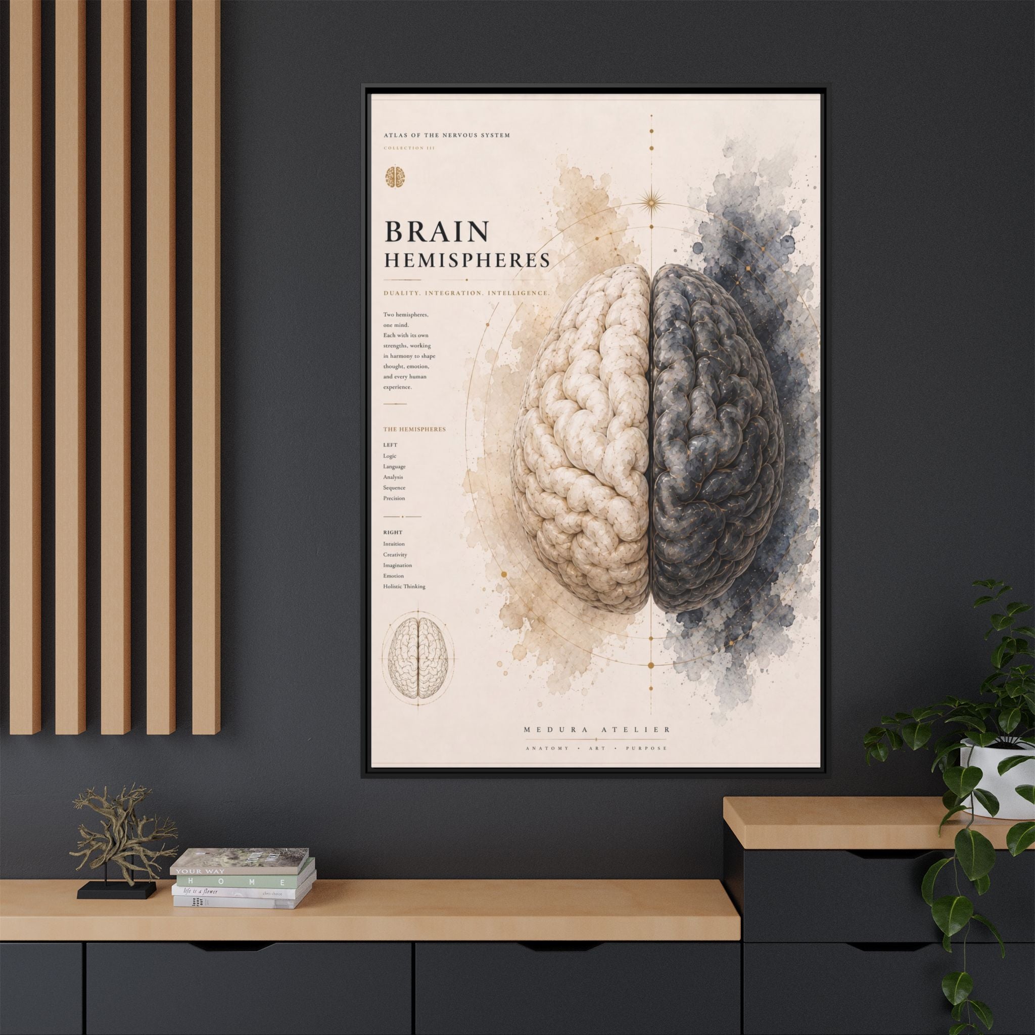 Brain Hemispheres Wall Art | Luxury Neuroscience Canvas Print | Museum-Inspired Fine Art