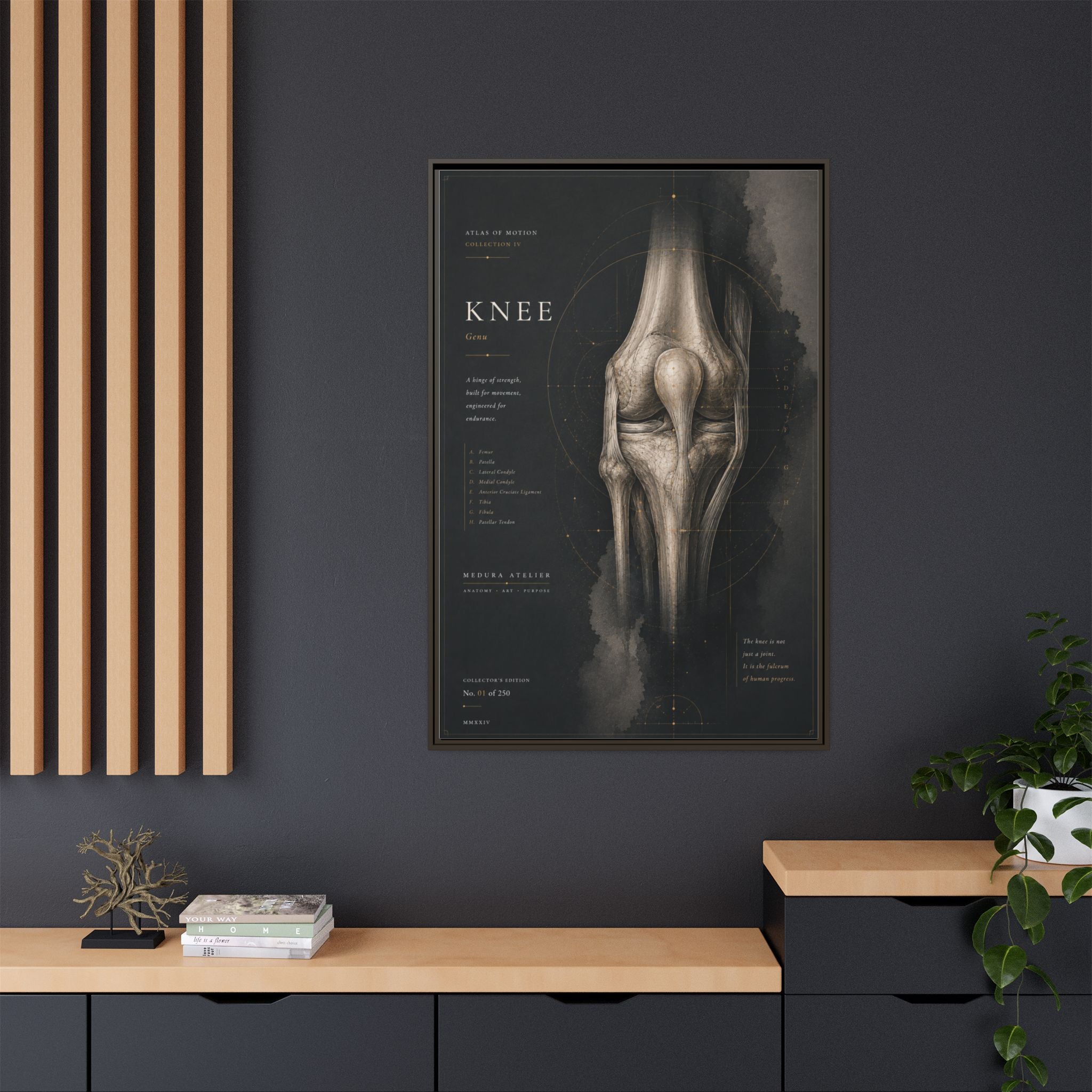 Atlas of Motion – Knee Wall Art | Luxury Orthopedic Canvas Print | Museum-Inspired Fine Art