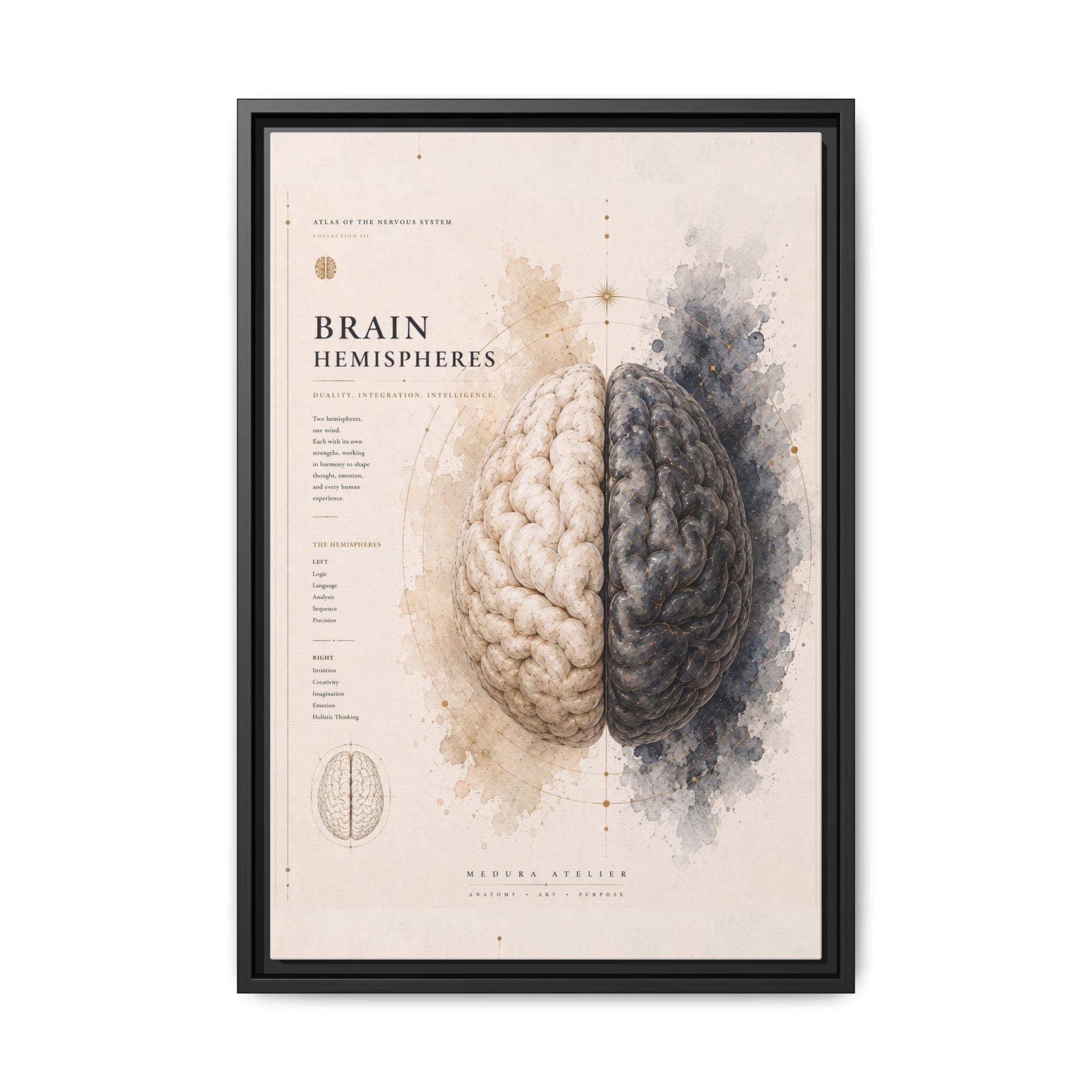 Brain Hemispheres Wall Art | Luxury Neuroscience Canvas Print | Museum-Inspired Fine Art
