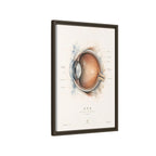 Anatomical Eye Canvas Print | Luxury Ophthalmology Wall Art | Museum-Inspired Medical Decor
