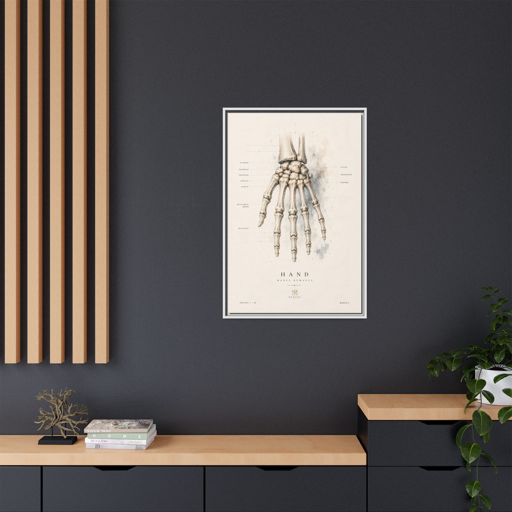 Anatomical Hand Skeleton Wall Art | Luxury Orthopaedic Canvas Print | Museum-Inspired Fine Art