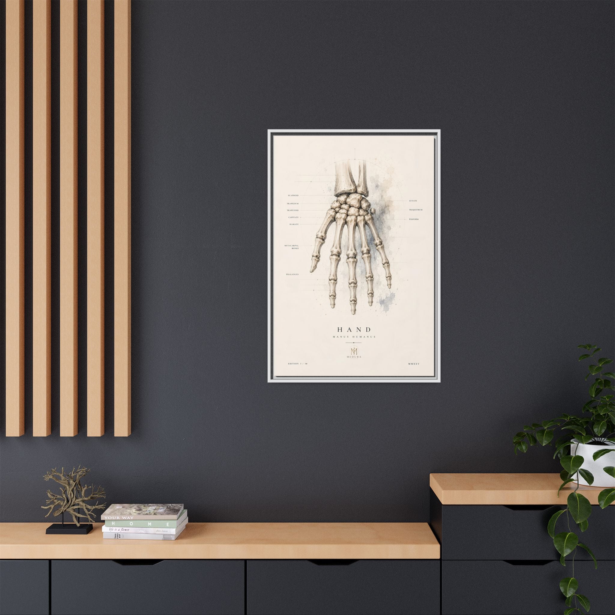 Anatomical Hand Skeleton Wall Art | Luxury Orthopaedic Canvas Print | Museum-Inspired Fine Art